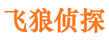 台山市私家侦探